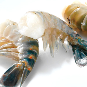 Scampi ongepeld z/kop U/5 - zak 1 kg